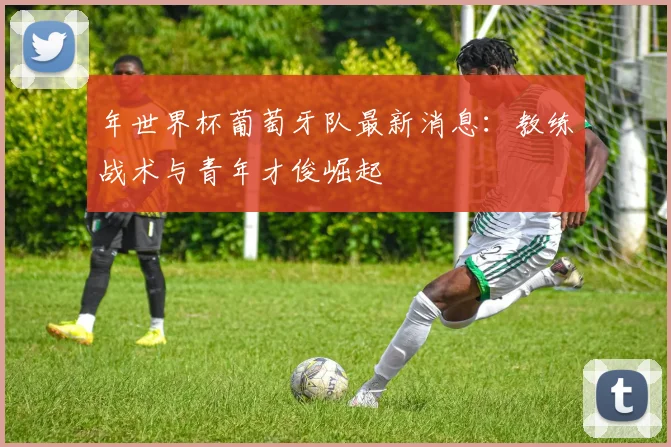 年世界杯葡萄牙队最新消息:教练战术与青年才俊崛起